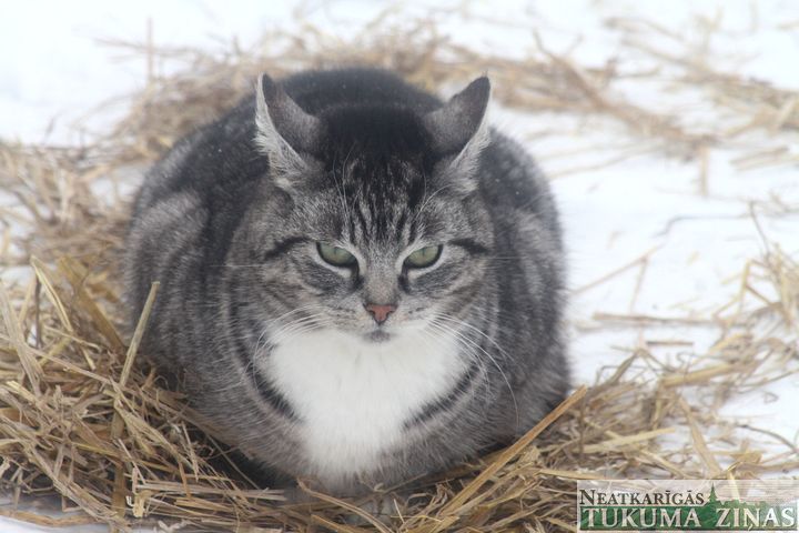 Gallery image 181961