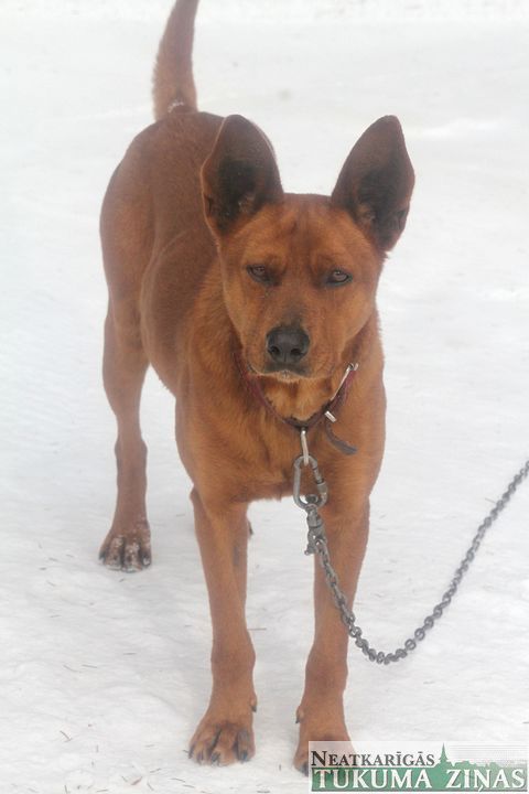 Gallery image 181959