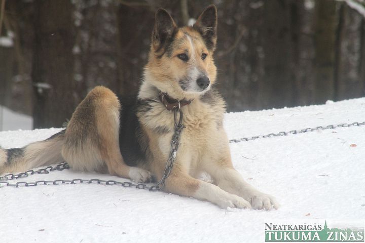 Gallery image 181960