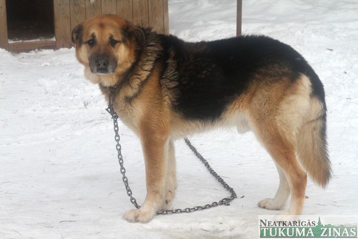 Gallery image 181962