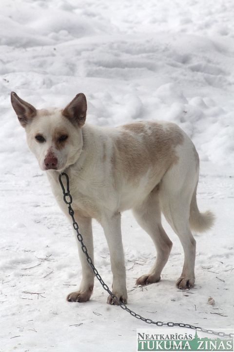 Gallery image 181964