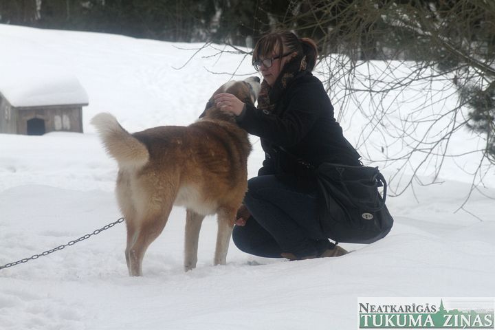 Gallery image 181963