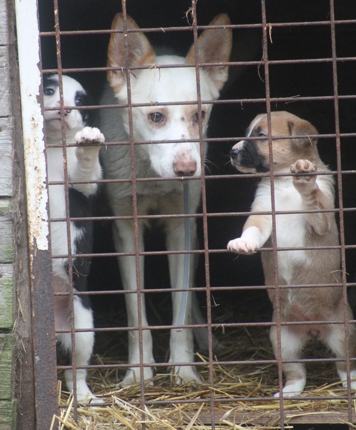 Gallery image 182483