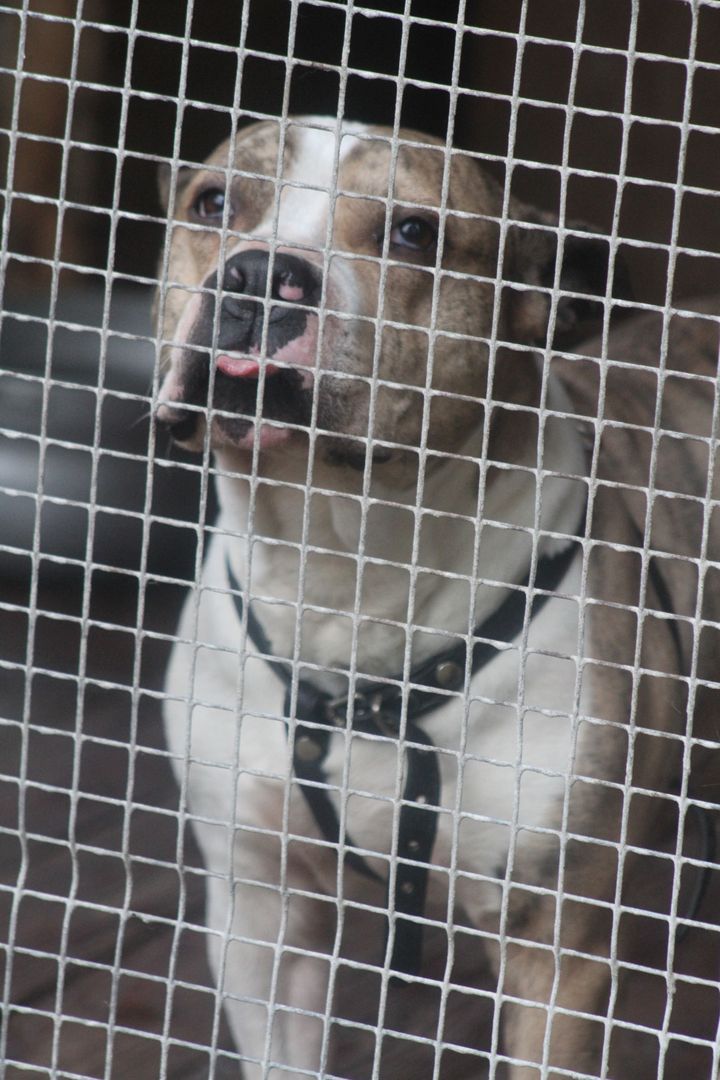 Gallery image 182488