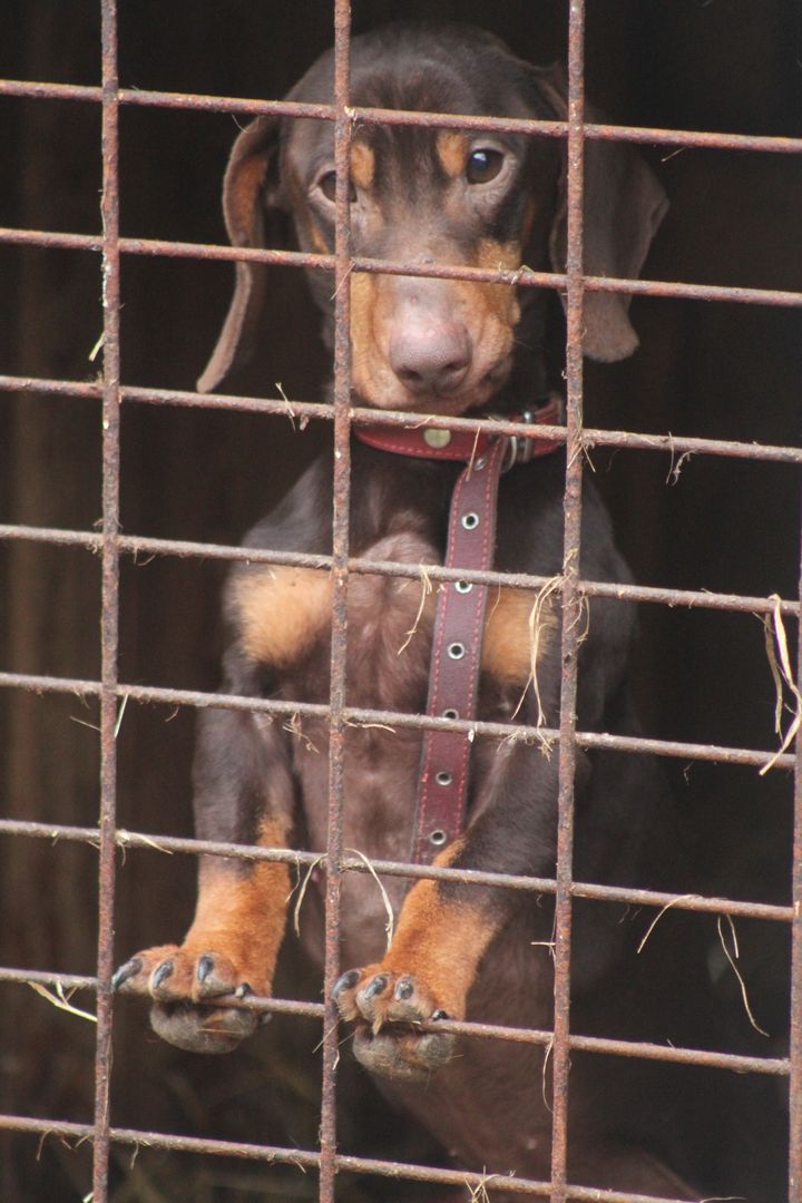 Gallery image 182486