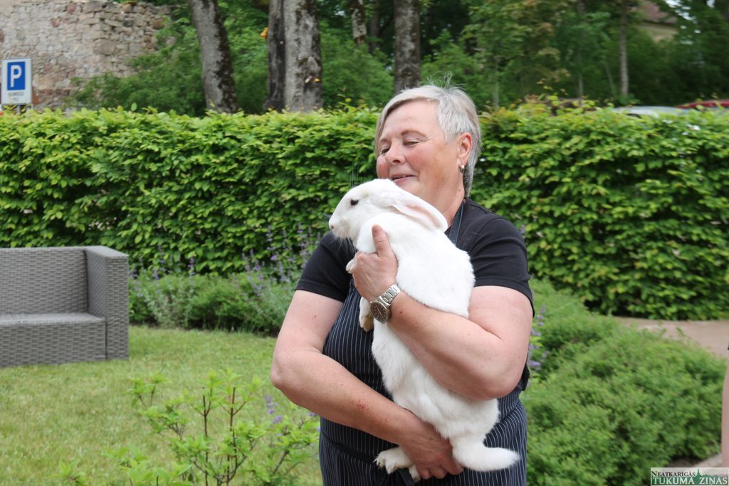 Gallery image 160501