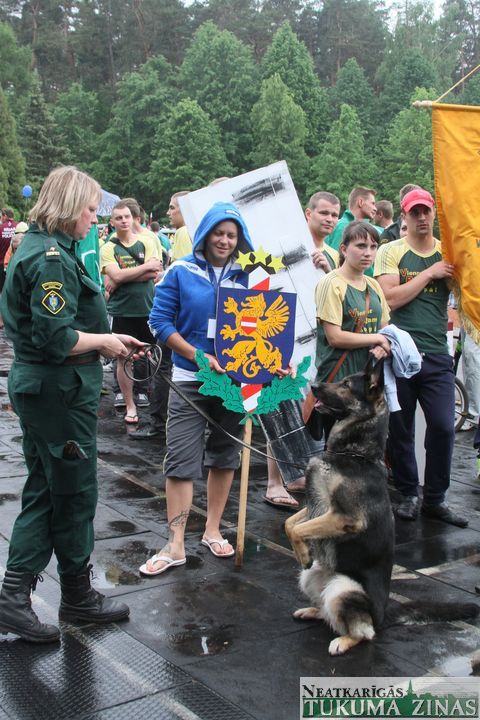 Gallery image 178973