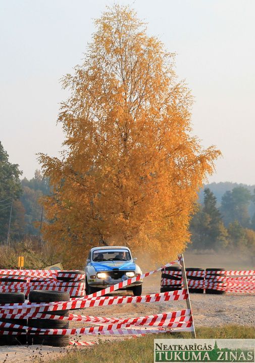 Gallery image 175394