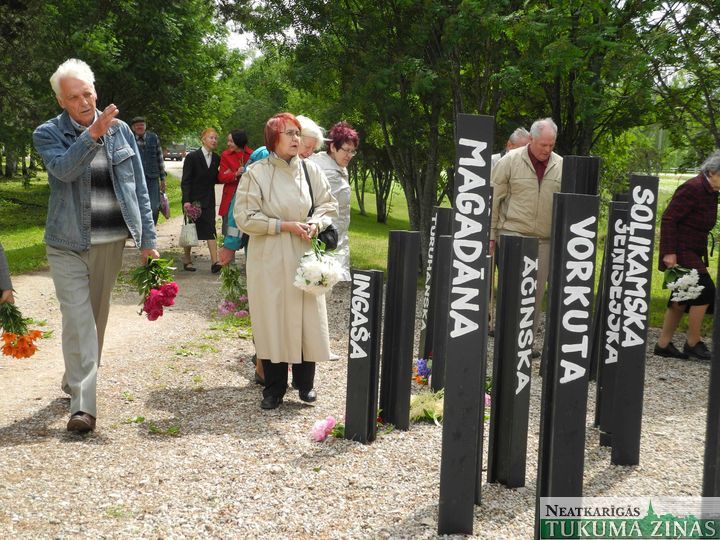 Gallery image 178857