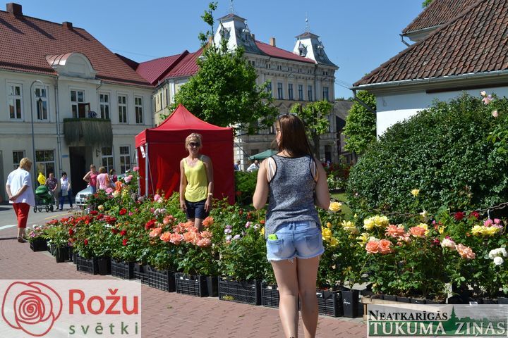 Gallery image 178485