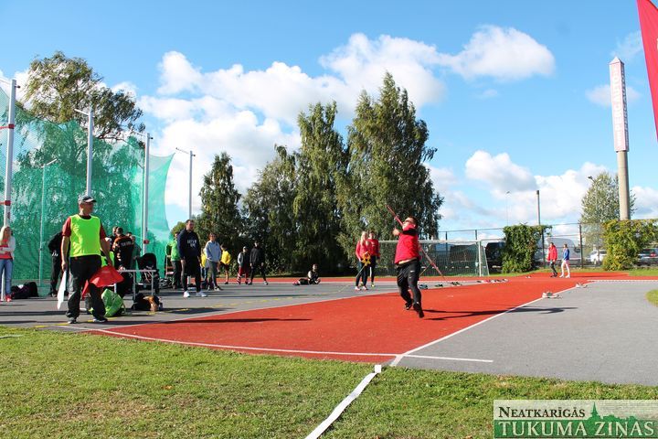 Gallery image 175585