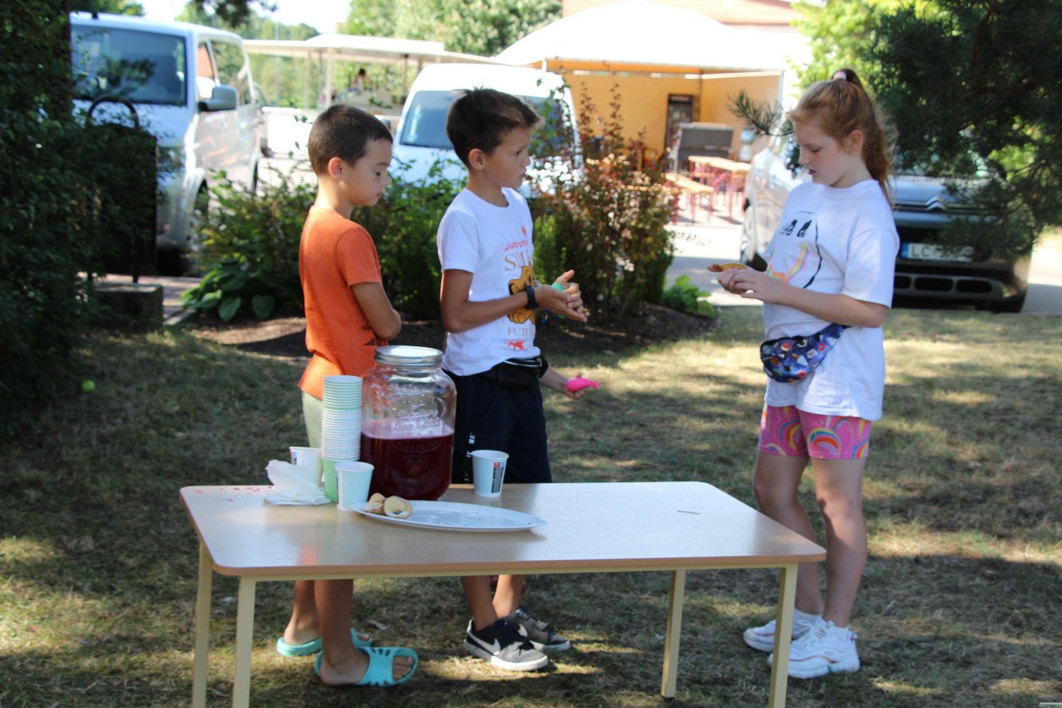 Gallery image 252453