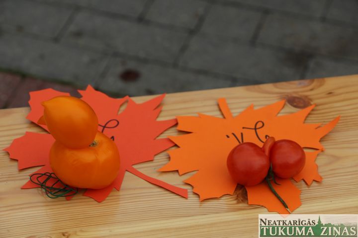 Gallery image 161355