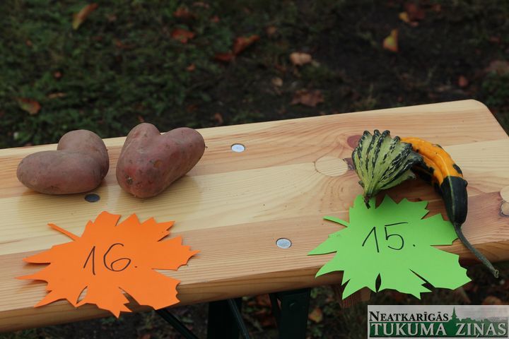 Gallery image 161354