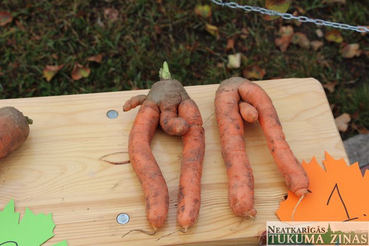 Gallery image 161353