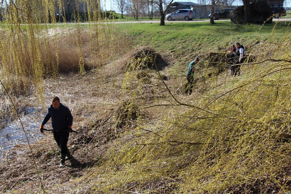 Gallery image 159416