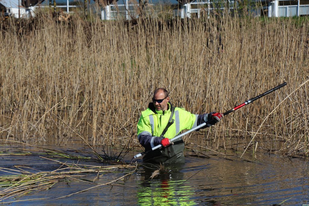 Gallery image 159419