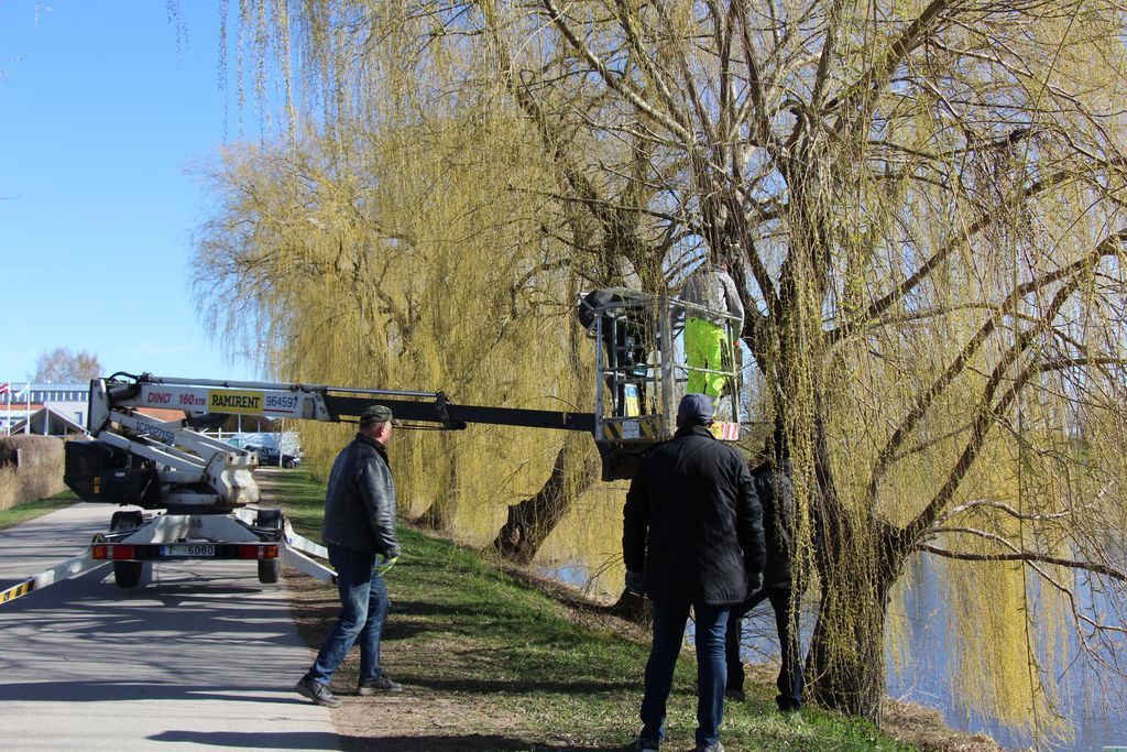 Gallery image 159417