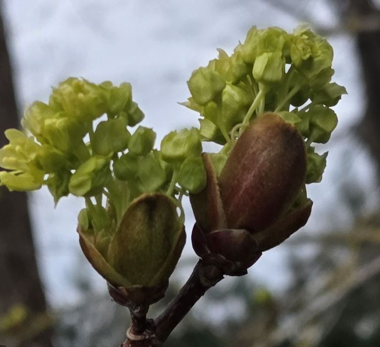 Pieaugošā pieprasījuma dēļ izsludina papildu pieteikšanos psihosociālās rehabilitācijas programmām cilvēkiem pēc onkoloģiskas slimības