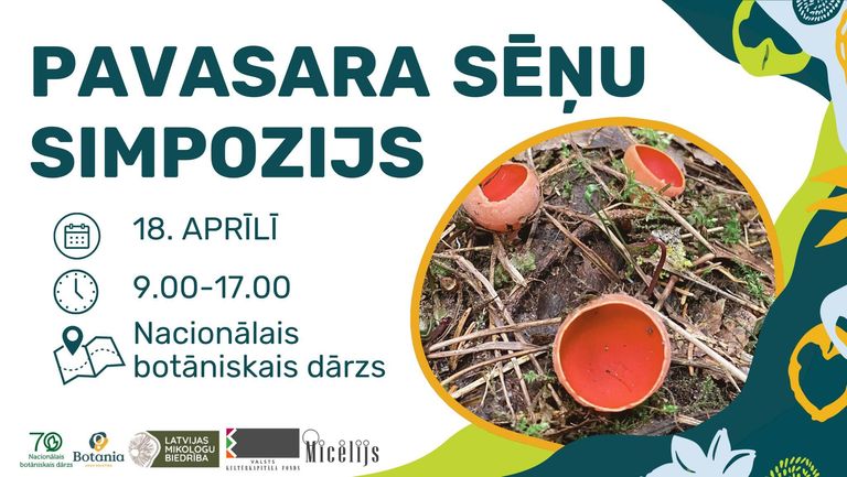 Nacionālajā botāniskajā dārzā notiks Pavasara sēņu simpozijs