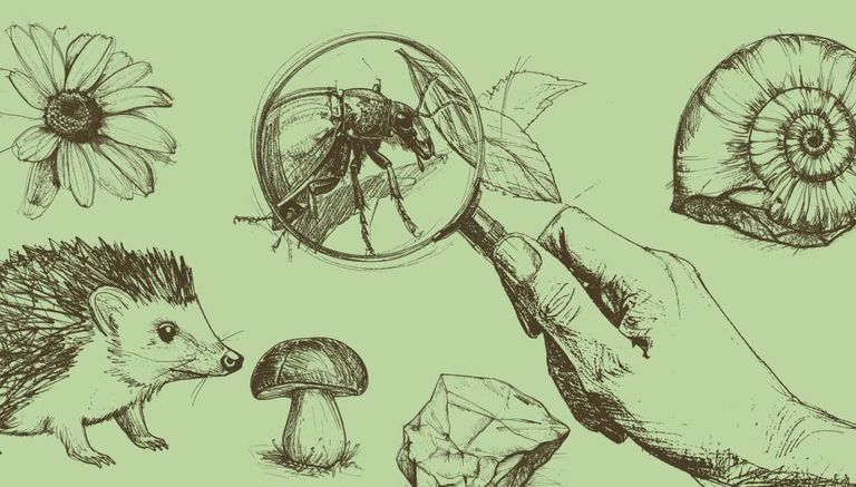 Skolēnu pavasara brīvlaikā Dabas muzejā varēs satikt dabaspētniekus