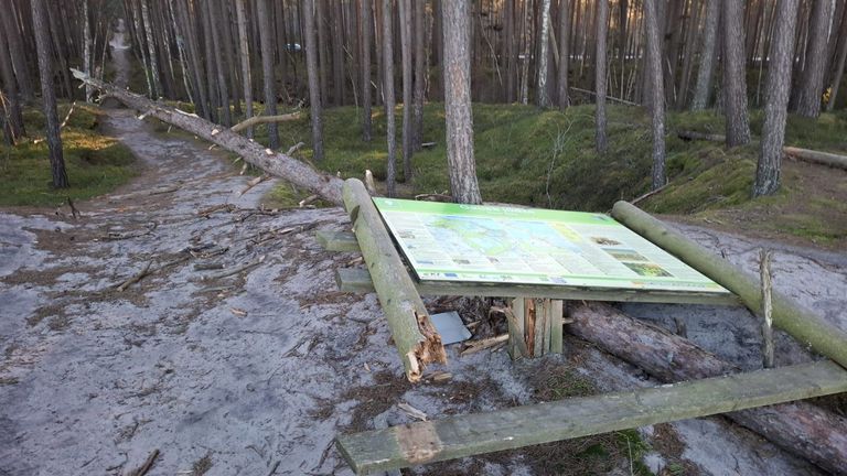 Vēl daži vēja nedarbi...