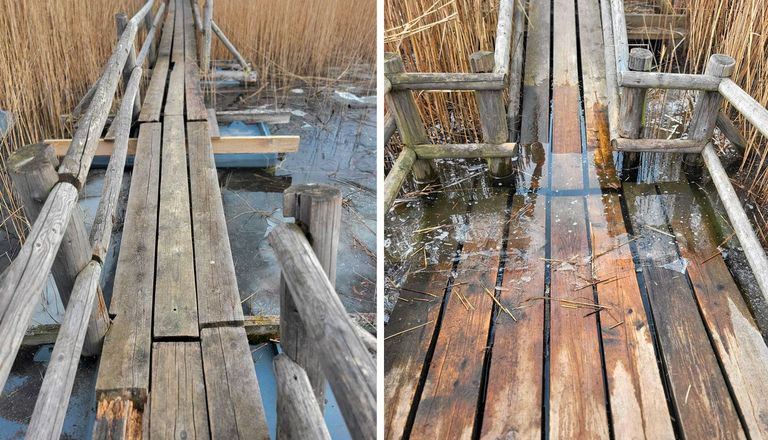 Bīstamu bojājumu dēļ līdz 1. maijam slēgta Kaņiera niedrāju laipa 