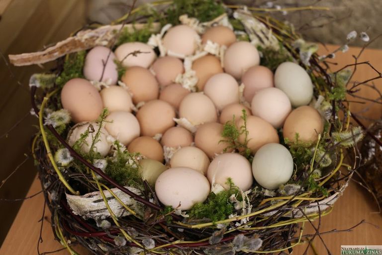 Aicina rūpīgāk pārdomāt olu iegādi svētkos 