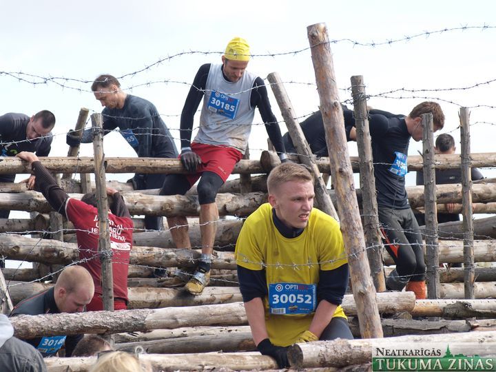 Gallery image 177279