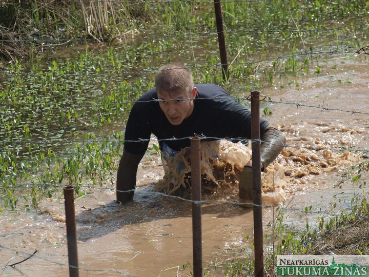 Gallery image 177278