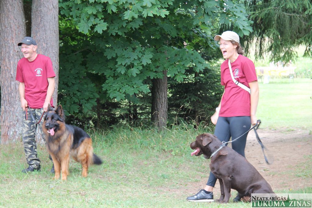 Gallery image 155171