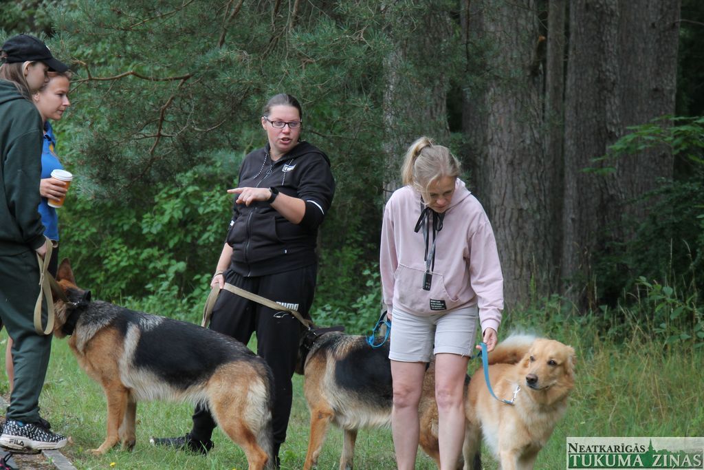 Gallery image 155169