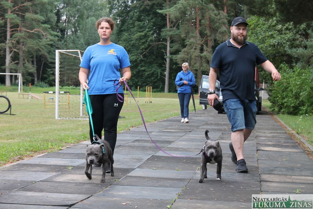 Gallery image 155170