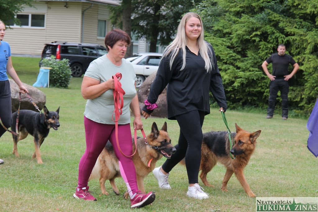 Kurzemes čempionātā suņu daudzcīņā Irlavā