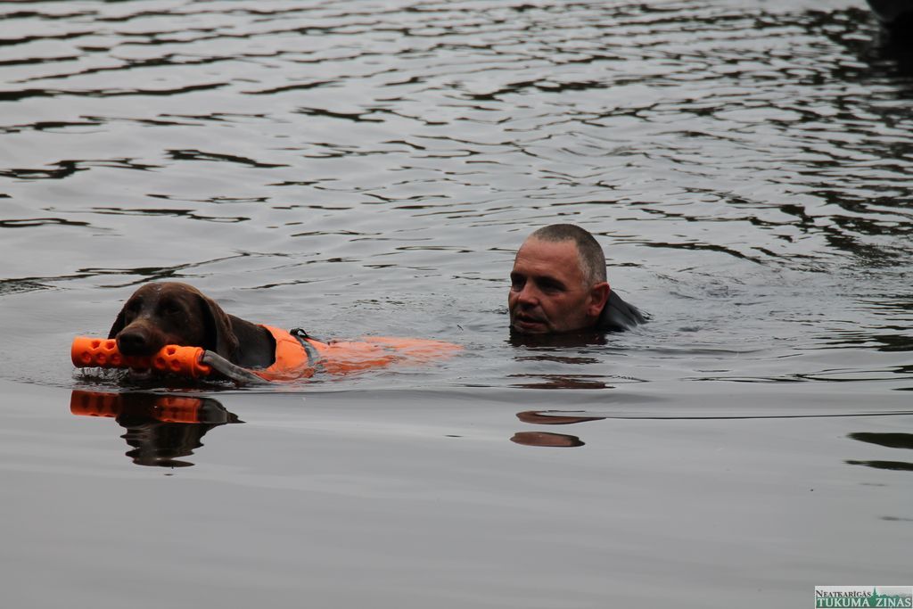 Gallery image 152176