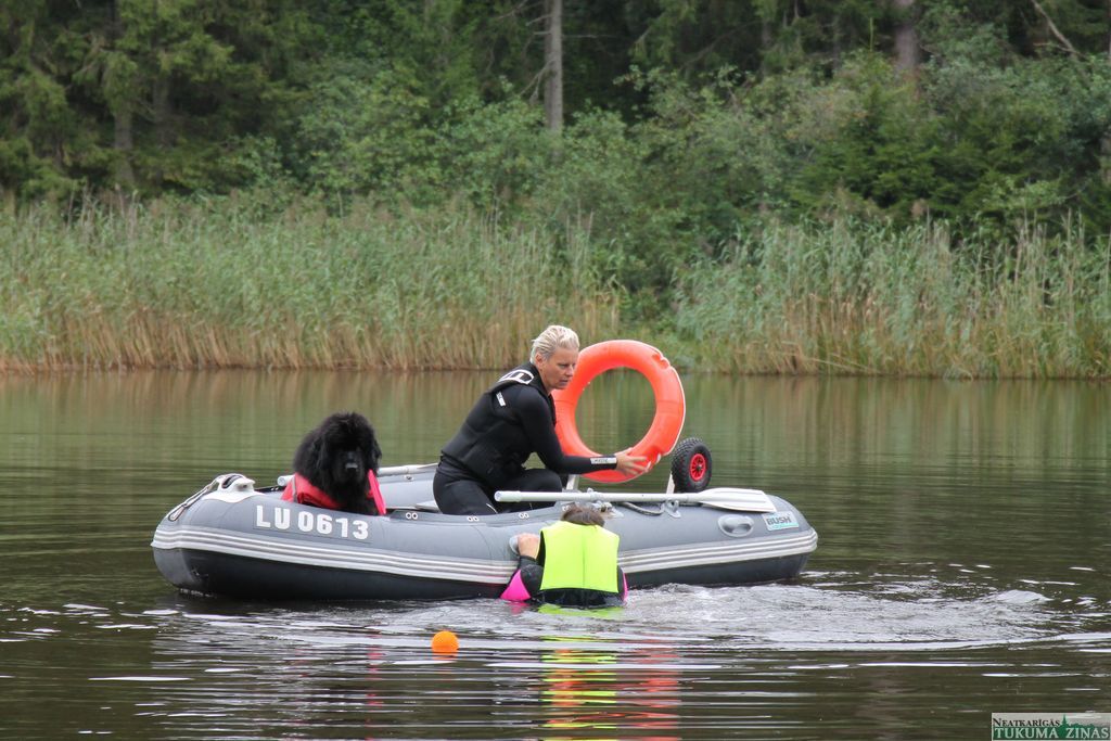 Gallery image 152177