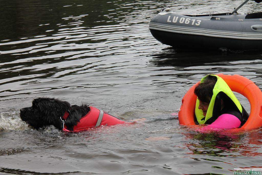 Gallery image 152180