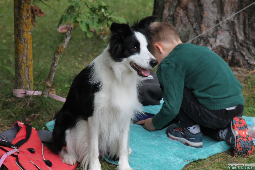 Gallery image 152179