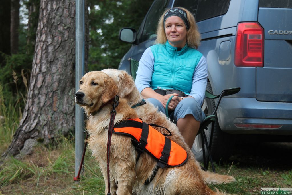 Gallery image 152175