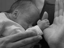 Diena vistrauslākajiem