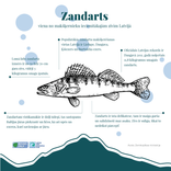 Ezeru apsaimniekot nav viegli