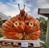 Ķirbja brīnumainās pārvērtības...