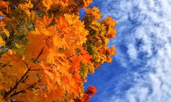 Kalendāriskas pārdomas