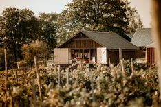 Iespēja ielūkoties bioloģiskajās saimniecībās. Ciemos gaidīs arī «Mazburkās»