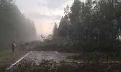 Kā dienesti ar stihiju cīkstējās