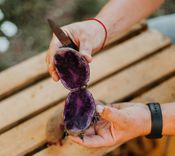 Kad hobijs ir... lauksaimniecība