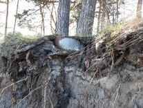 Kad jūra izskalo atkritumus