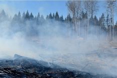 Meža ugunsgrēka dēļ slēdz ceļu Kandavas pusē