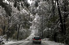 Smagās sniega segas dēļ lūzt koki