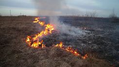 Sākusies āra iedzeršanas un kūlas dedzināšanas sezona